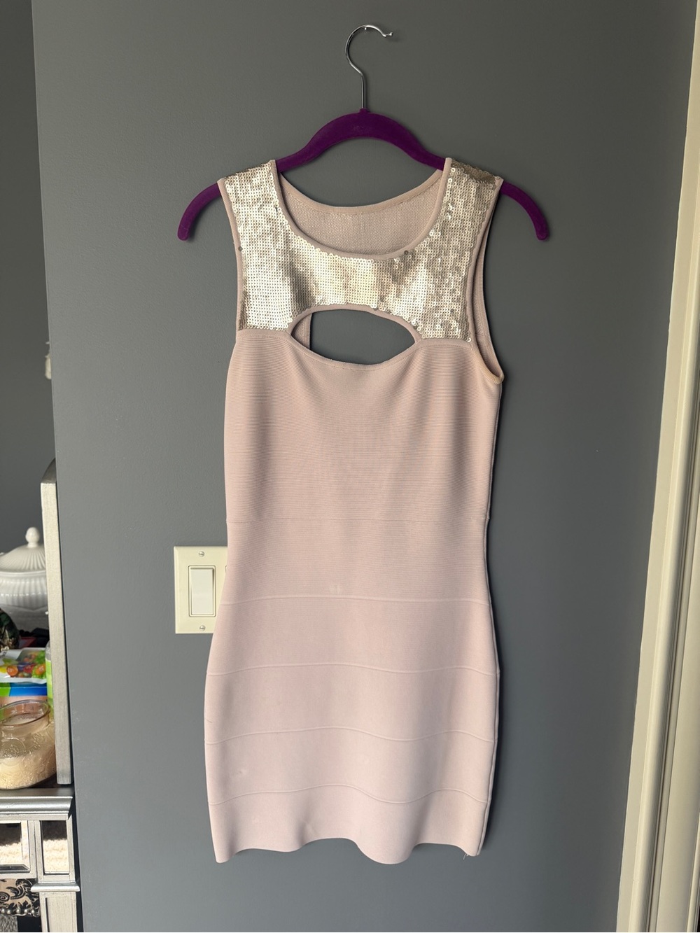 BCBGMaxAzria Blush Pink Sleeveless Sequin-Yoke Bodycon Dress